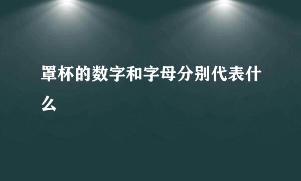 罩杯的数字和字母分别代表什么