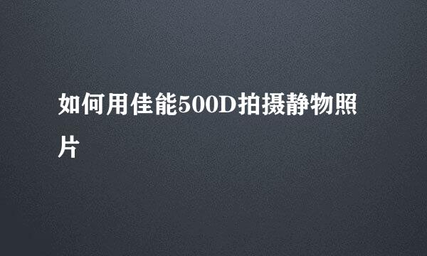 如何用佳能500D拍摄静物照片