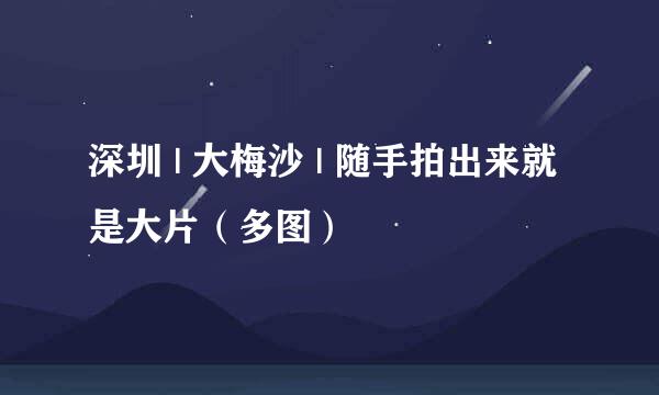 深圳 | 大梅沙 | 随手拍出来就是大片（多图）