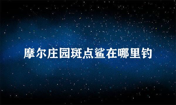 摩尔庄园斑点鲨在哪里钓