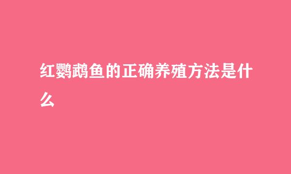 红鹦鹉鱼的正确养殖方法是什么