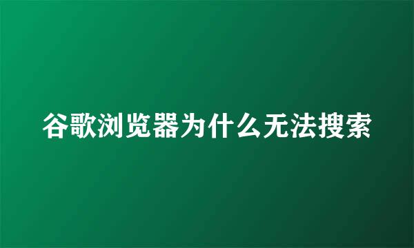 谷歌浏览器为什么无法搜索