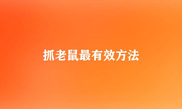 抓老鼠最有效方法
