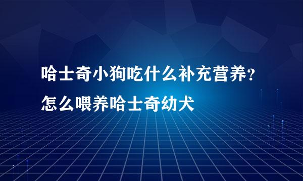 哈士奇小狗吃什么补充营养？怎么喂养哈士奇幼犬
