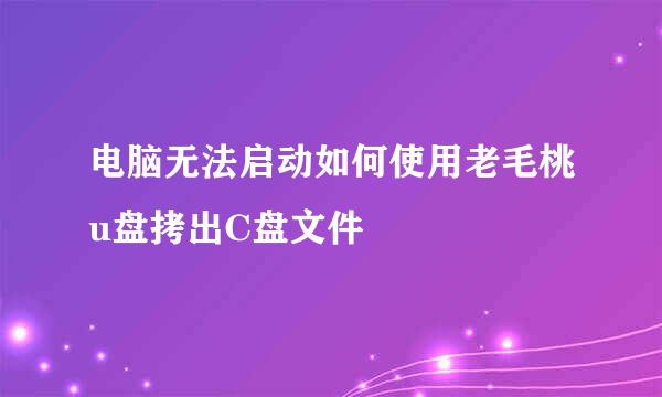 电脑无法启动如何使用老毛桃u盘拷出C盘文件