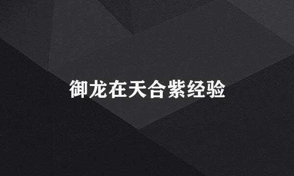 御龙在天合紫经验