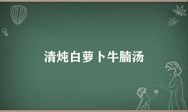 清炖白萝卜牛腩汤