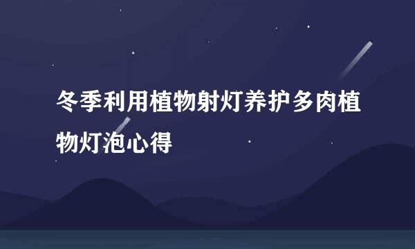 冬季利用植物射灯养护多肉植物灯泡心得