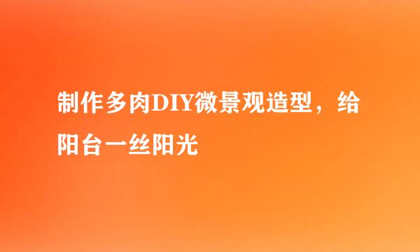 制作多肉DIY微景观造型，给阳台一丝阳光