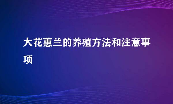 大花蕙兰的养殖方法和注意事项