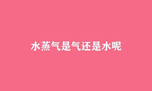 水蒸气是气还是水呢