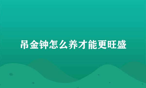 吊金钟怎么养才能更旺盛