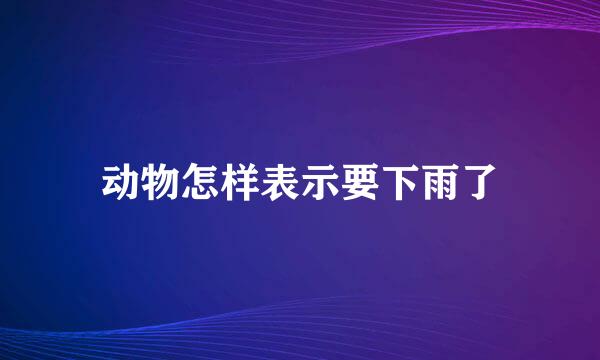 动物怎样表示要下雨了