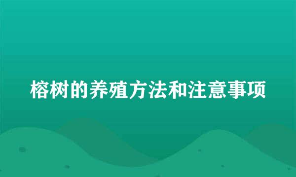 榕树的养殖方法和注意事项