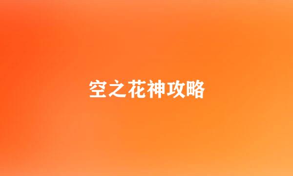 空之花神攻略