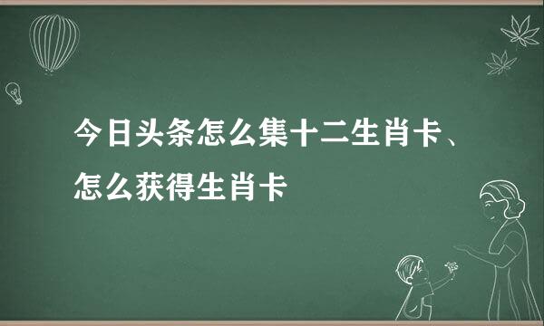 今日头条怎么集十二生肖卡、怎么获得生肖卡