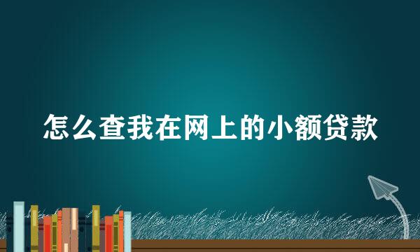 怎么查我在网上的小额贷款