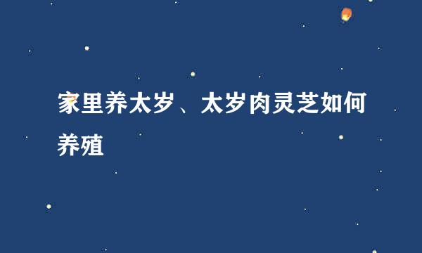家里养太岁、太岁肉灵芝如何养殖