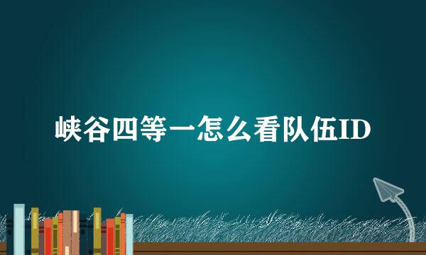 峡谷四等一怎么看队伍ID