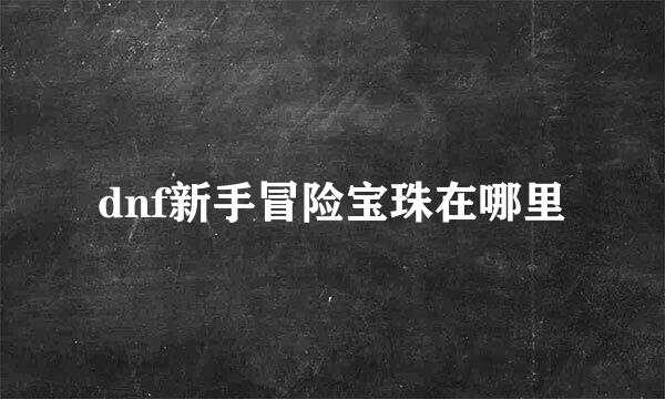 dnf新手冒险宝珠在哪里