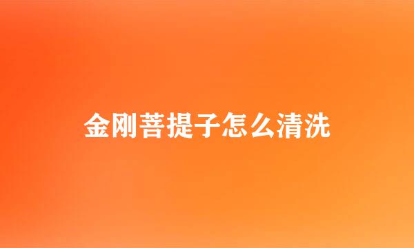 金刚菩提子怎么清洗