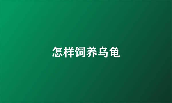 怎样饲养乌龟