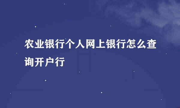农业银行个人网上银行怎么查询开户行