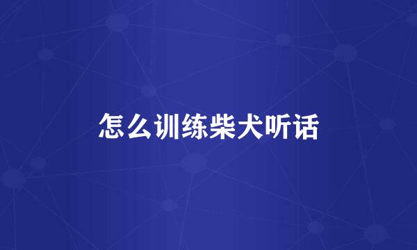 怎么训练柴犬听话