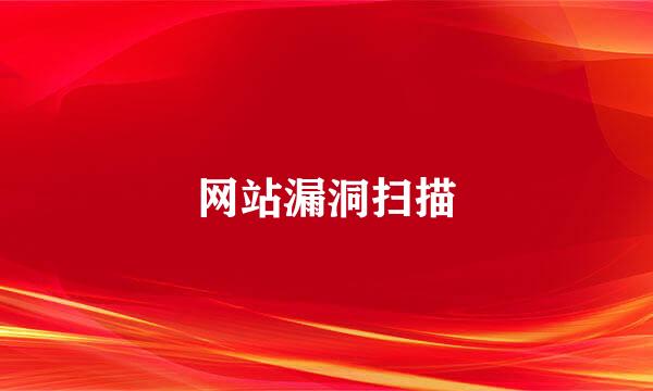 网站漏洞扫描