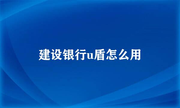 建设银行u盾怎么用