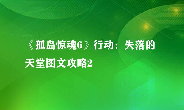 《孤岛惊魂6》行动：失落的天堂图文攻略2