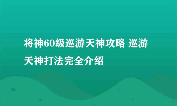 将神60级巡游天神攻略 巡游天神打法完全介绍