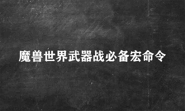 魔兽世界武器战必备宏命令