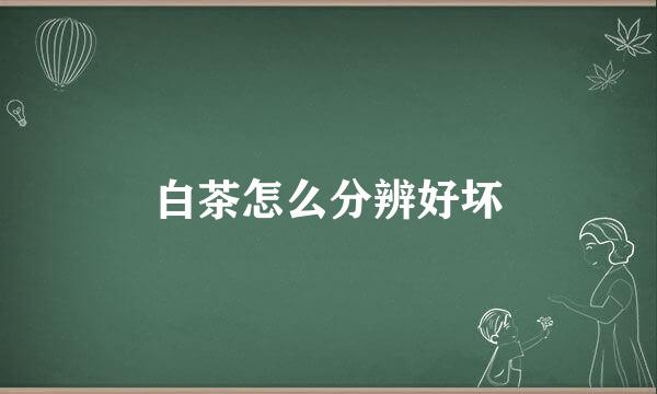 白茶怎么分辨好坏