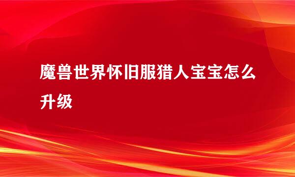 魔兽世界怀旧服猎人宝宝怎么升级
