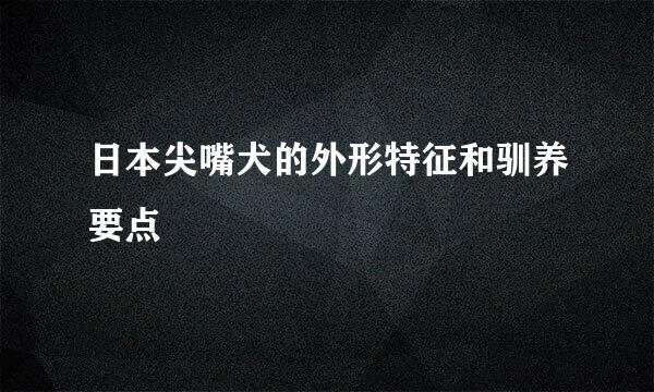 日本尖嘴犬的外形特征和驯养要点