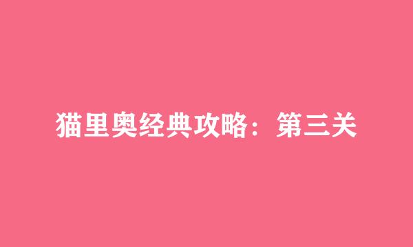 猫里奥经典攻略：第三关