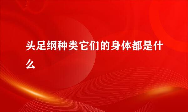 头足纲种类它们的身体都是什么