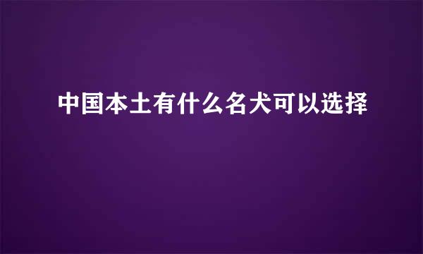 中国本土有什么名犬可以选择