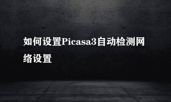 如何设置Picasa3自动检测网络设置