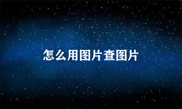怎么用图片查图片
