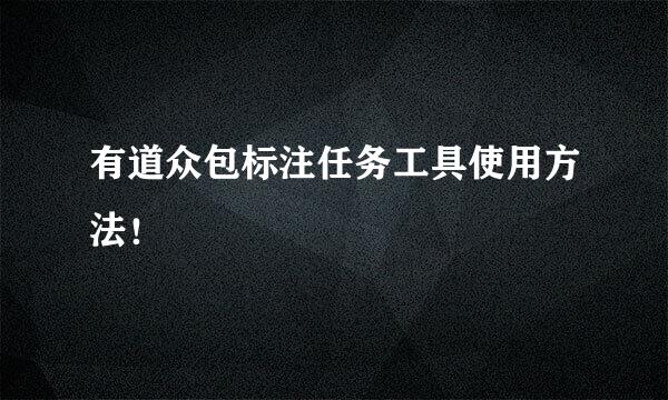 有道众包标注任务工具使用方法！