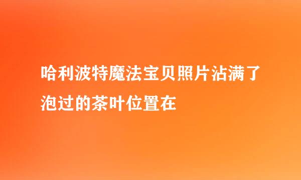 哈利波特魔法宝贝照片沾满了泡过的茶叶位置在