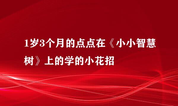 1岁3个月的点点在《小小智慧树》上的学的小花招