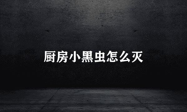 厨房小黑虫怎么灭
