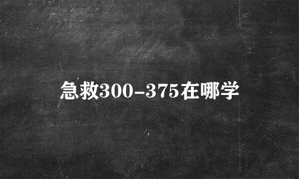 急救300-375在哪学
