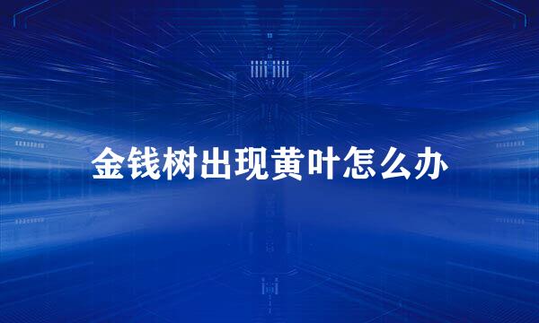 金钱树出现黄叶怎么办