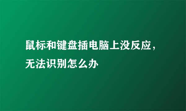 鼠标和键盘插电脑上没反应，无法识别怎么办