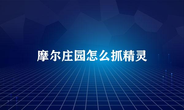 摩尔庄园怎么抓精灵