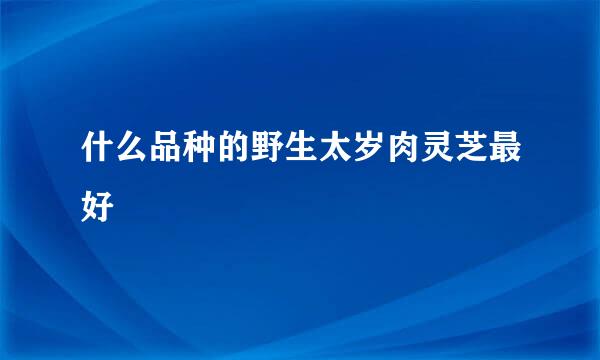 什么品种的野生太岁肉灵芝最好